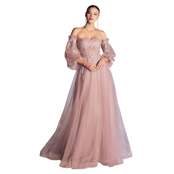 Cinderella Divine CD948 Dress