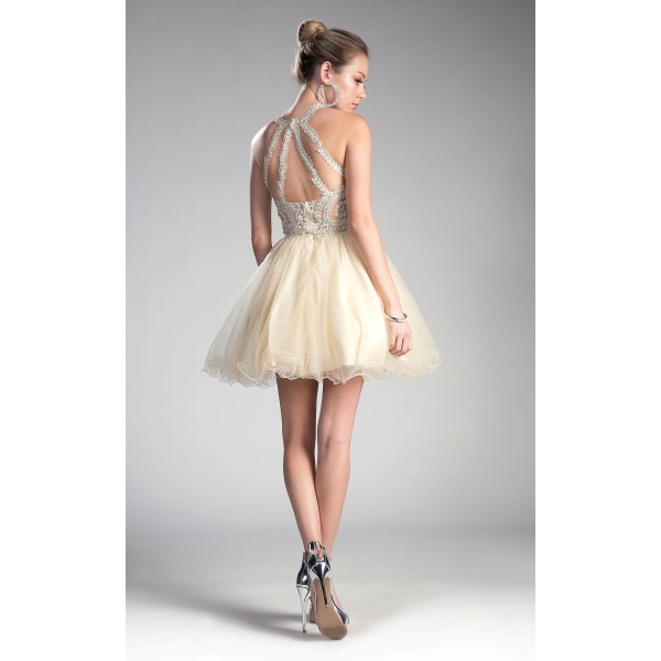 Cinderella Divine UJ0119 Dress