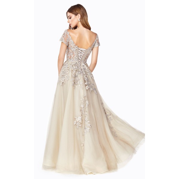 Cinderella Divine C20 Dress