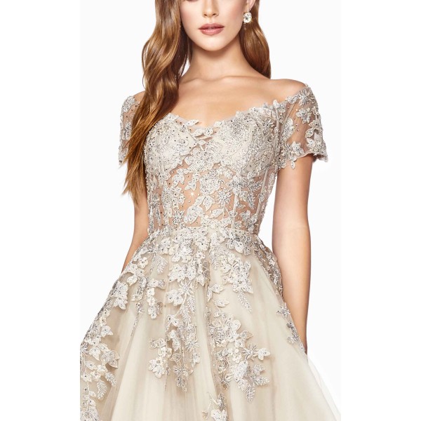 Cinderella Divine C20 Dress