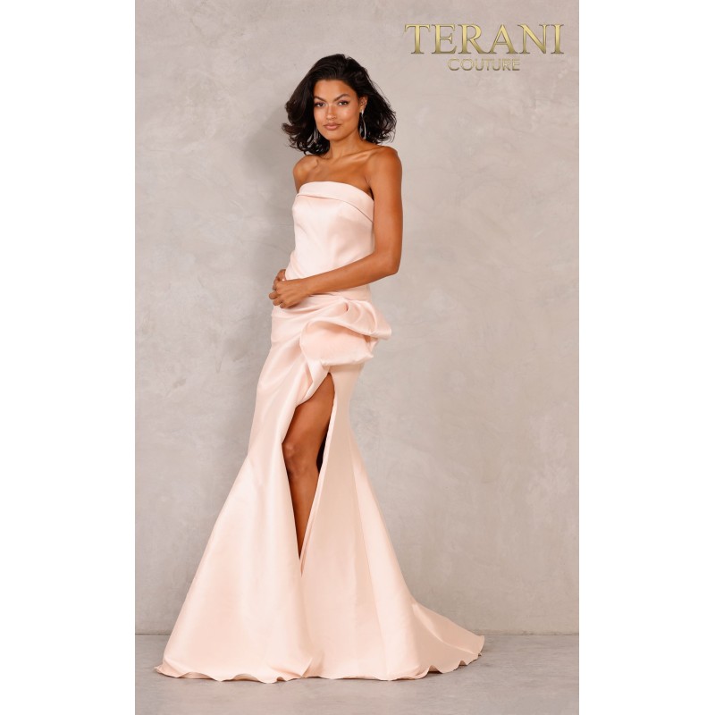 Terani 2111P4019 Dress