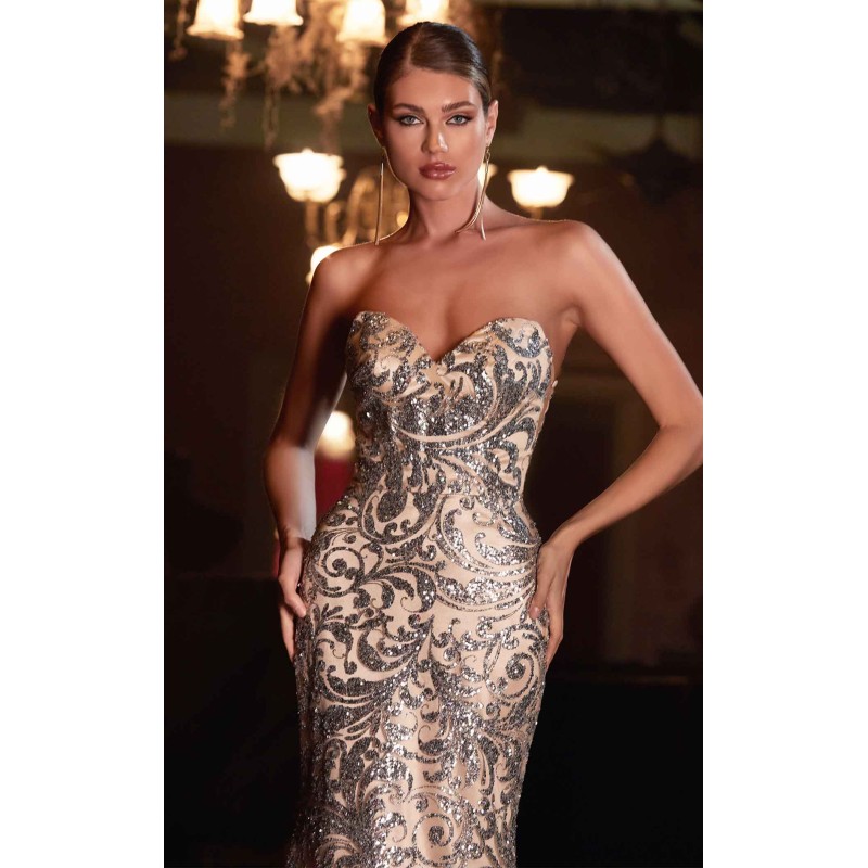 Cinderella Divine J820 Dress