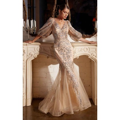 Cinderella Divine OC009 Dress