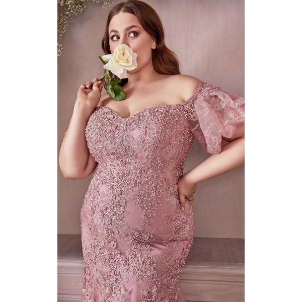 Cinderella Divine CD959CCL Dress