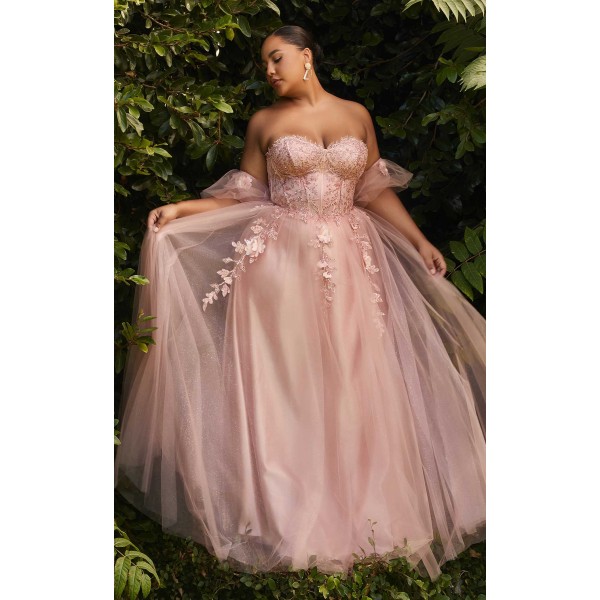 Cinderella Divine CD0191C Dress