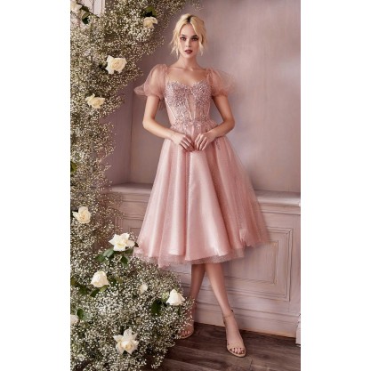 Cinderella Divine CD0187 Dress
