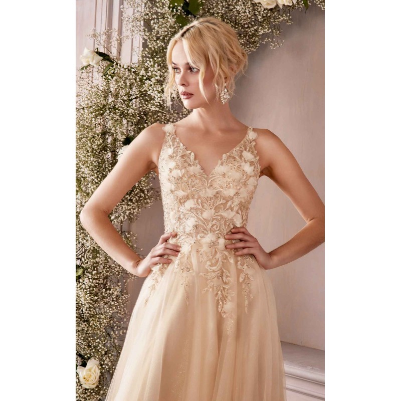 Cinderella Divine CD0181 Dress