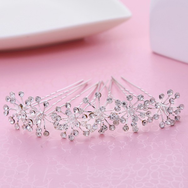 Hairpins/Headpiece Beautiful Ladies (Set of 6)