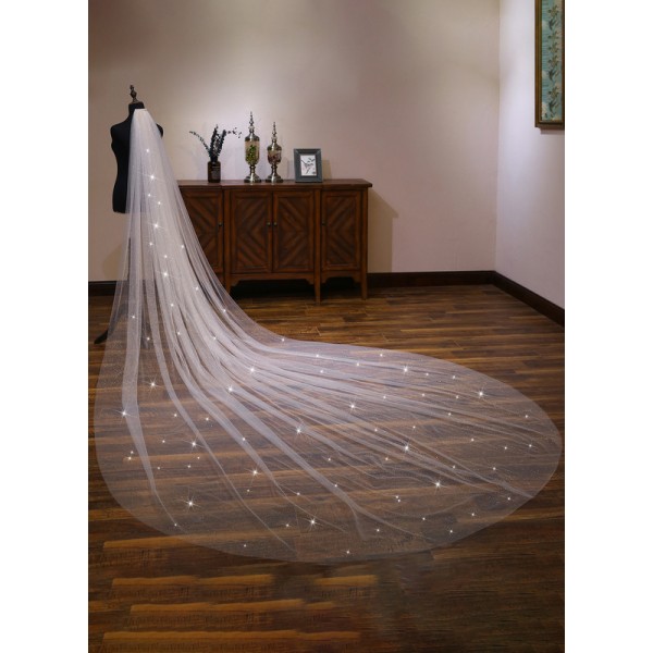 One-tier Cut Edge Cathedral Bridal Veils With Lace