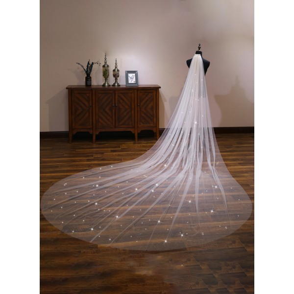 One-tier Cut Edge Cathedral Bridal Veils With Lace