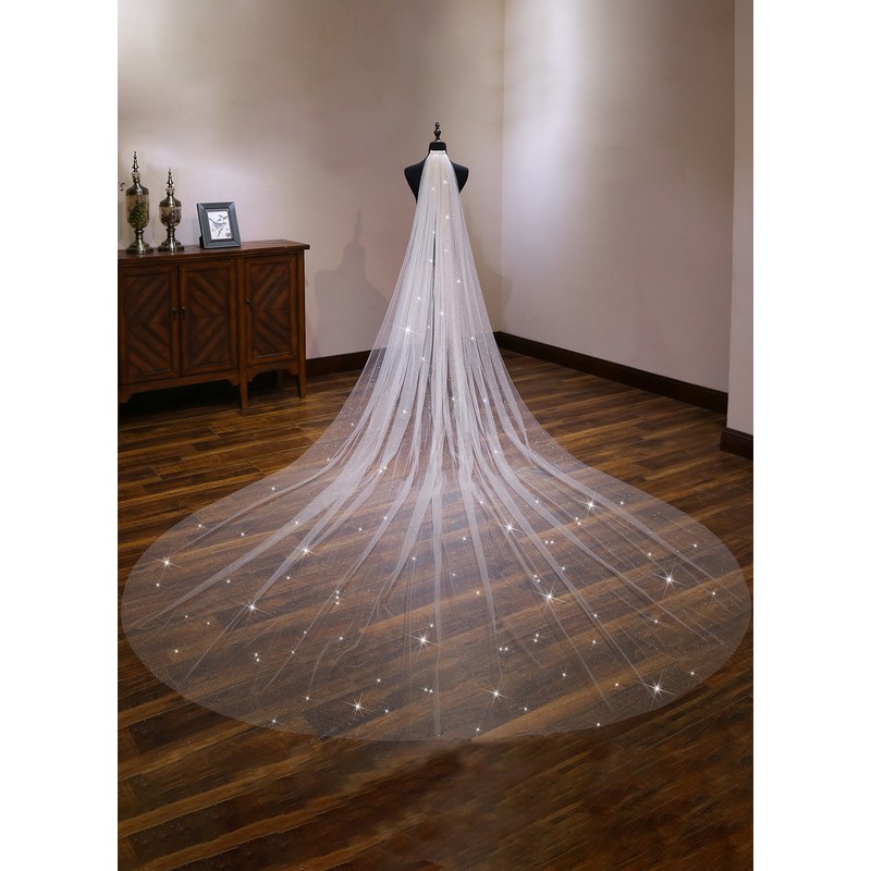 One-tier Cut Edge Cathedral Bridal Veils With Lace