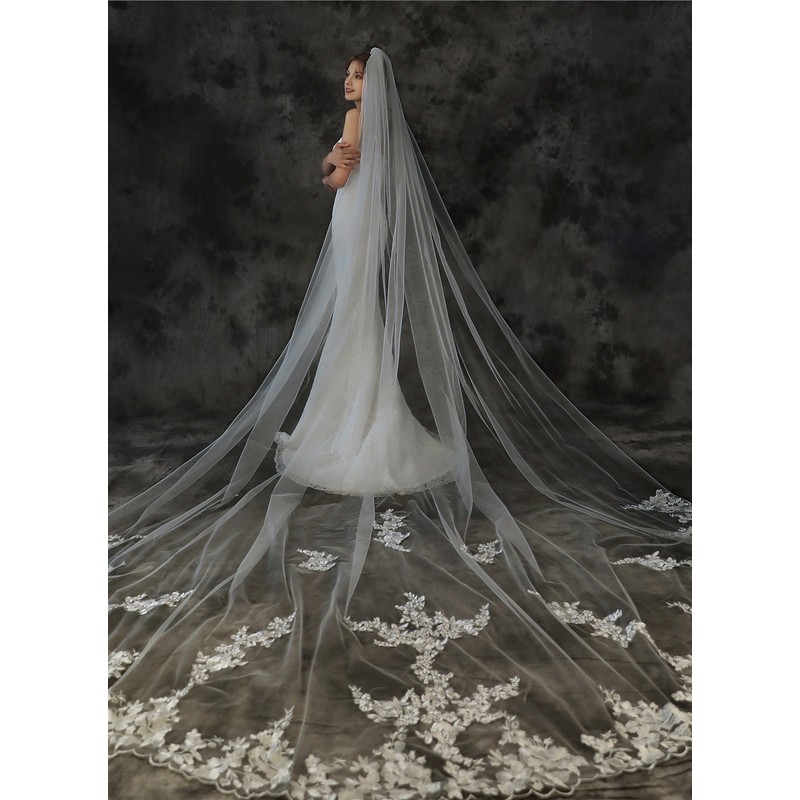 One-tier Lace Applique Edge Cathedral Bridal Veils With Lace