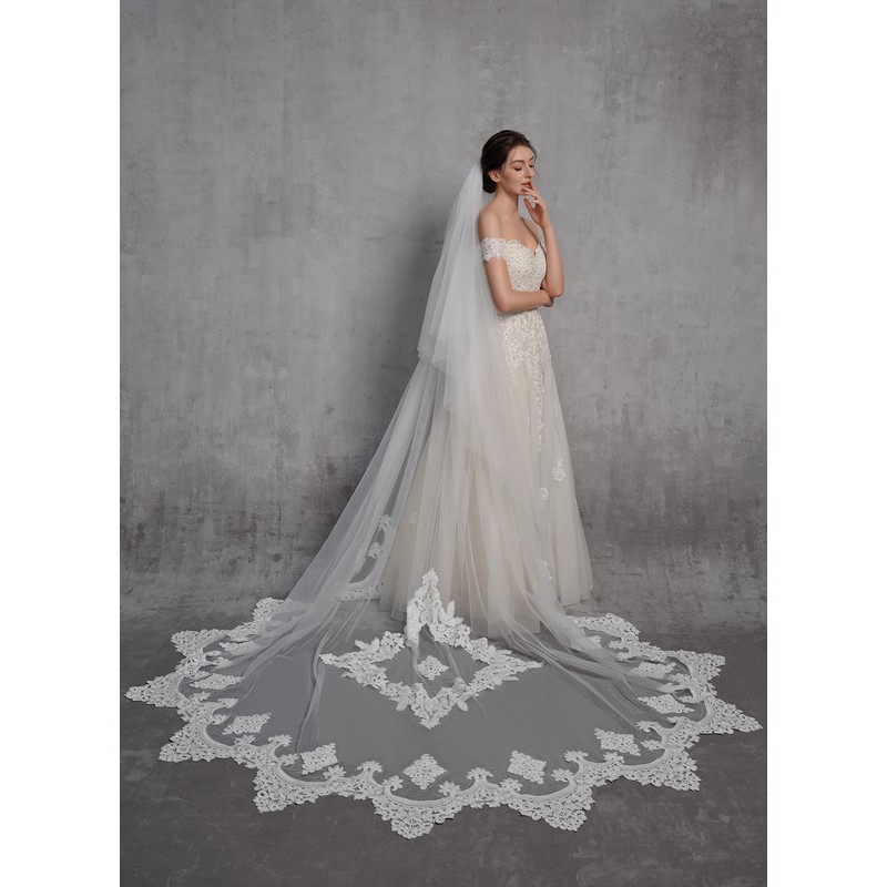 Two-tier Lace Applique Edge Cathedral Bridal Veils With Lace