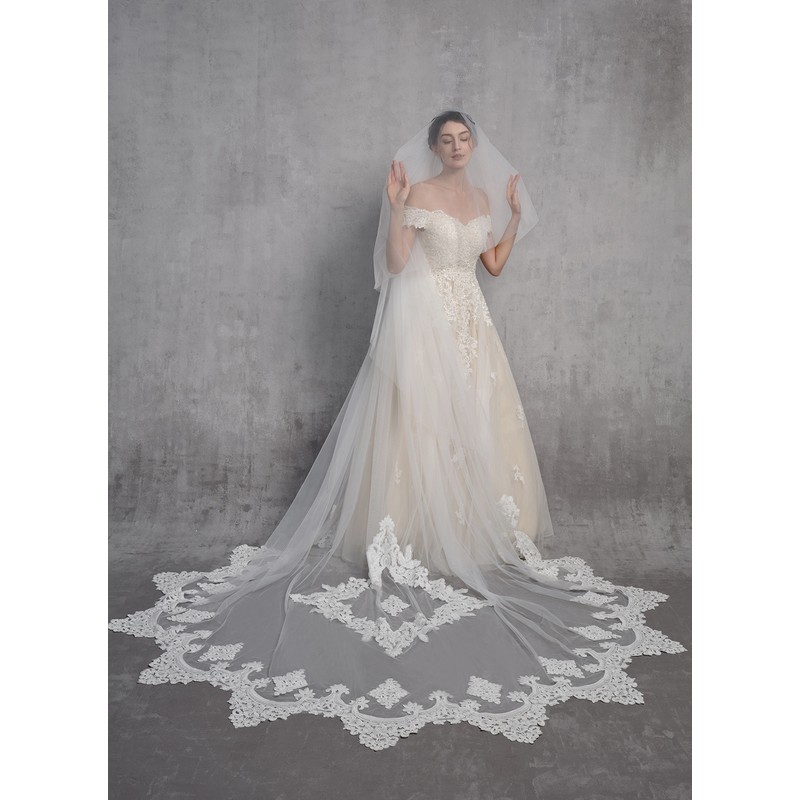 Two-tier Lace Applique Edge Cathedral Bridal Veils With Lace