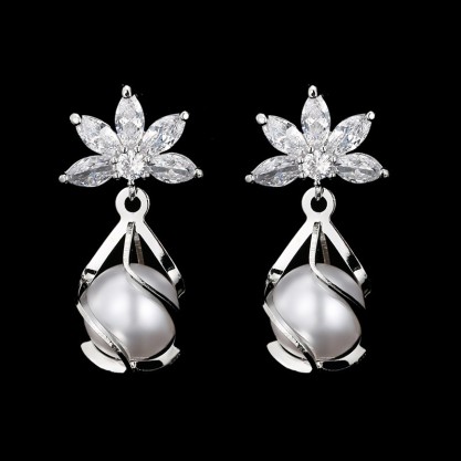 Ladies' Gorgeous/Exquisite/Fancy Alloy With Irregular Cubic Zirconia Earrings